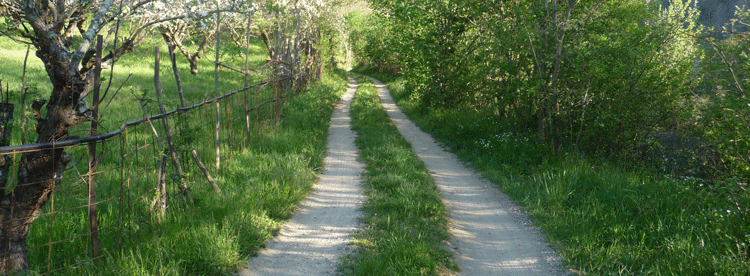 Chemin d'accès dans la propriété - Mas Gramatxo.